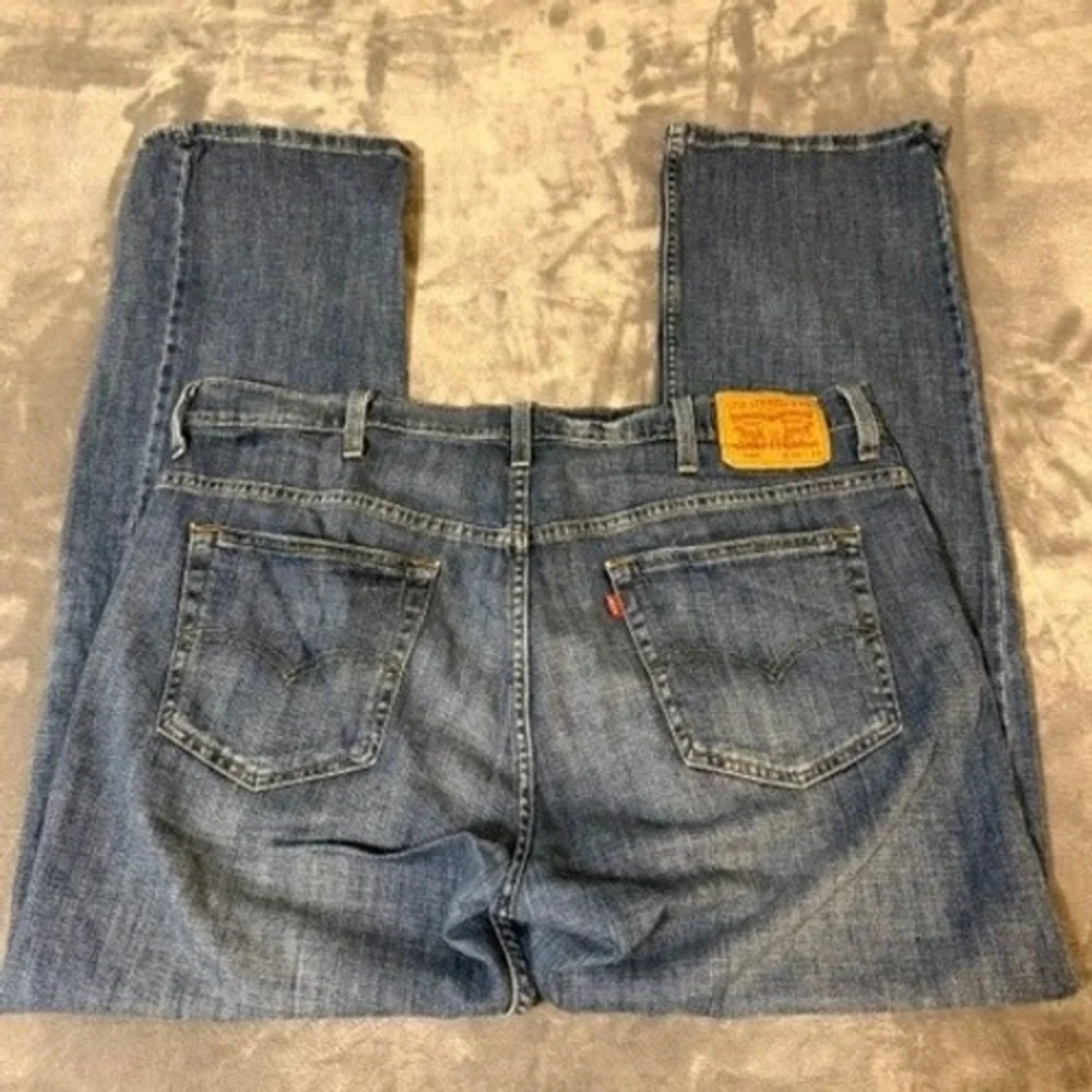 Levis levis 569